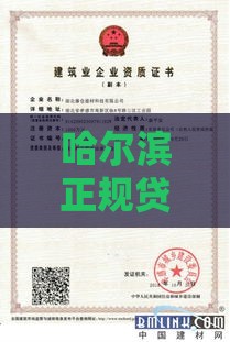 哈尔滨正规贷款公司哪家靠谱？这些机构资质全、利息低