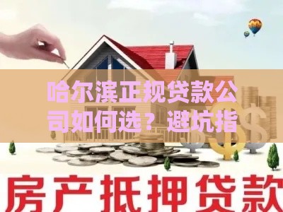 哈尔滨正规贷款公司如何选？避坑指南与可靠平台推荐