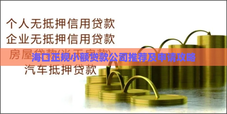 海口正规小额贷款公司推荐及申请攻略