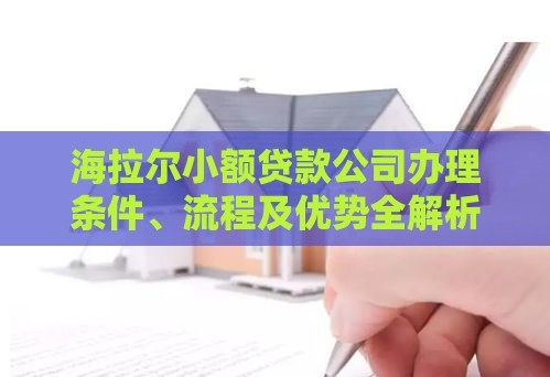 海拉尔小额贷款公司办理条件、流程及优势全解析