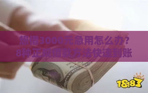 想借3000元急用怎么办？8种正规借款方法快速到账