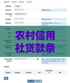 农村信用社贷款条件详解：申请流程、材料及注意事项