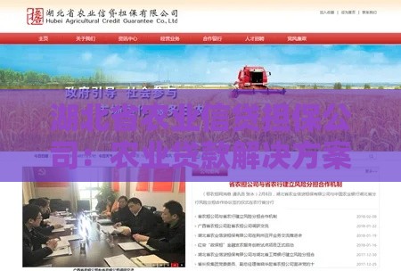 湖北省农业信贷担保公司：农业贷款解决方案与申请指南