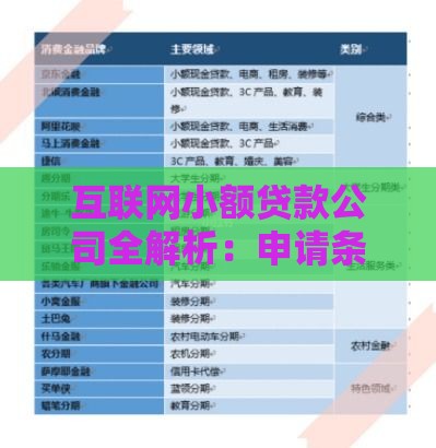 互联网小额贷款公司全解析：申请条件、利率对比及风险提示