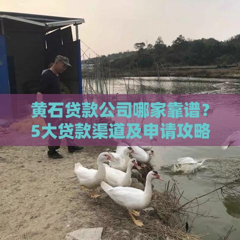 黄石贷款公司哪家靠谱？5大贷款渠道及申请攻略