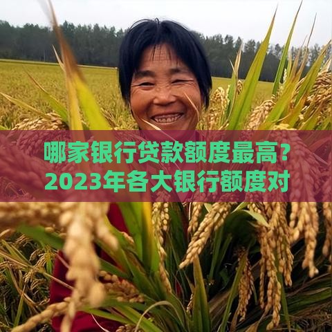 哪家银行贷款额度最高？2023年各大银行额度对比及申请技巧