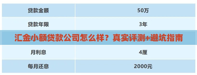 汇金小额贷款公司怎么样？真实评测+避坑指南