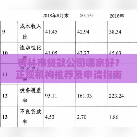 吉林市贷款公司哪家好？正规机构推荐及申请指南
