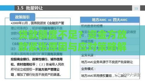 贷款额度不足？资金方放款紧张原因与应对策略解析