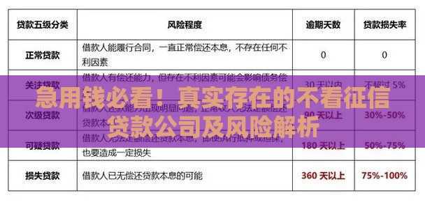 急用钱必看！真实存在的不看征信贷款公司及风险解析