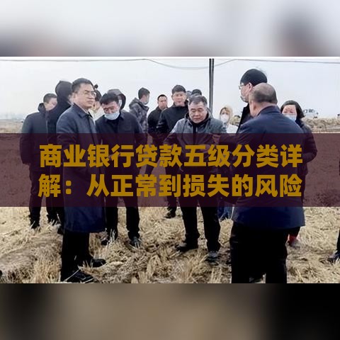 商业银行贷款五级分类详解：从正常到损失的风险管理