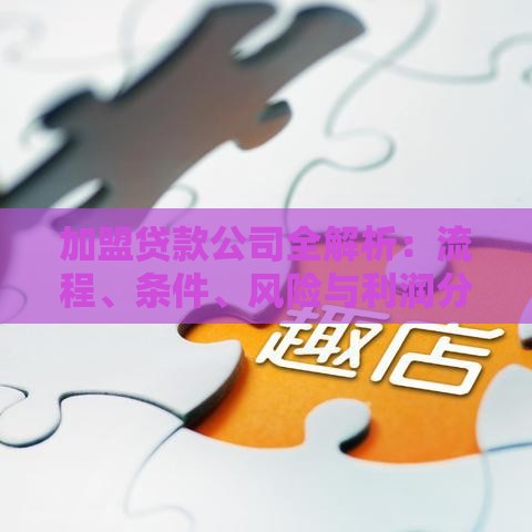 加盟贷款公司全解析：流程、条件、风险与利润分析