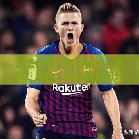 加盟贷款公司全解析：流程、条件、风险与利润分析