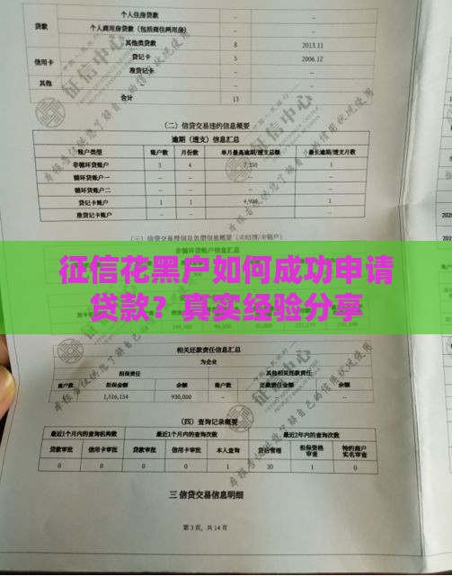 征信花黑户如何成功申请贷款？真实经验分享