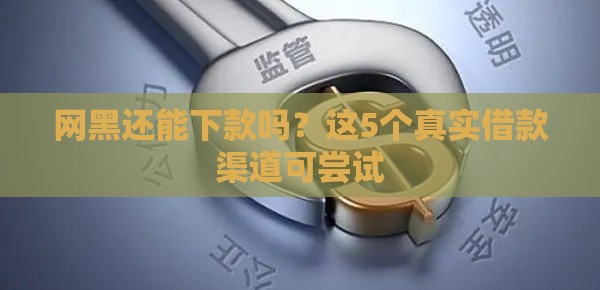网黑还能下款吗？这5个真实借款渠道可尝试