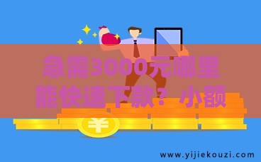 急需3000元哪里能快速下款？小额贷款申请攻略全解析