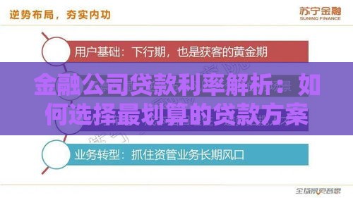 金融公司贷款利率解析：如何选择最划算的贷款方案？