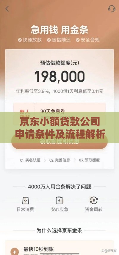 京东小额贷款公司申请条件及流程解析