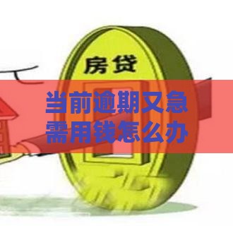 当前逾期又急需用钱怎么办？5个解决办法深度解析