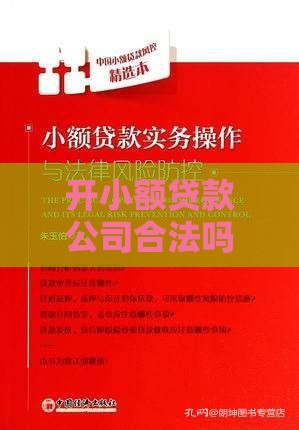 开小额贷款公司合法吗？条件、风险、流程全解析