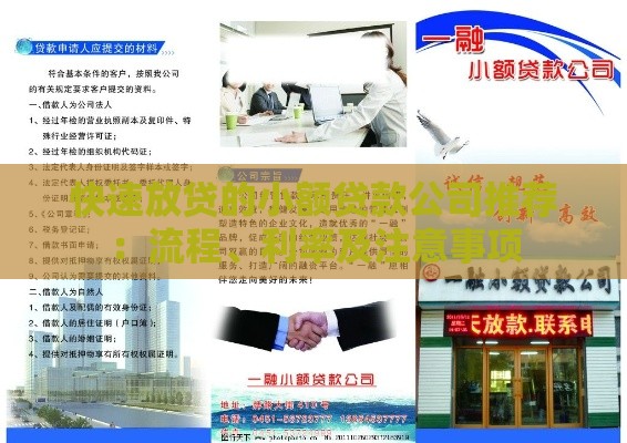 快速放贷的小额贷款公司推荐：流程、利率及注意事项