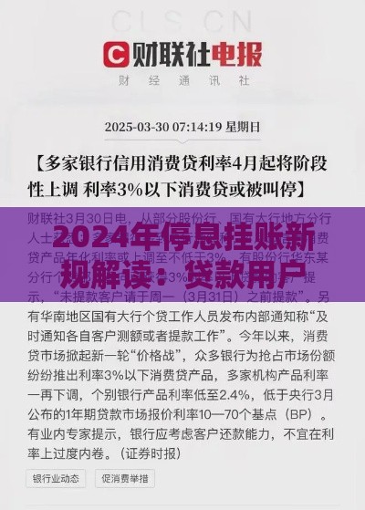 2024年停息挂账新规解读：贷款用户必知的三大变化