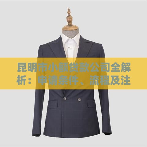 昆明市小额贷款公司全解析：申请条件、流程及注意事项