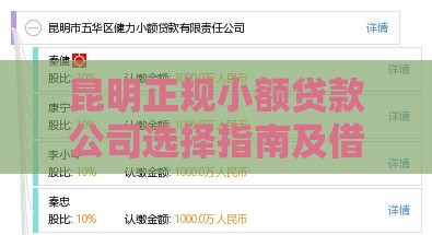 昆明正规小额贷款公司选择指南及借款攻略