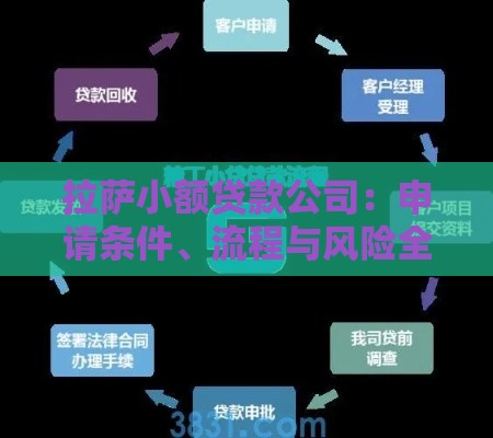 拉萨小额贷款公司：申请条件、流程与风险全解析