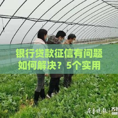 银行贷款征信有问题如何解决？5个实用方法帮你成功申贷