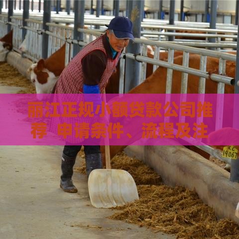 丽江正规小额贷款公司推荐  申请条件、流程及注意事项解析