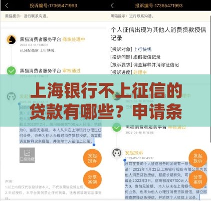 上海银行不上征信的贷款有哪些？申请条件和流程详解