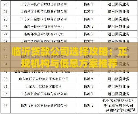 临沂贷款公司选择攻略：正规机构与低息方案推荐