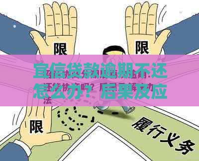 宜信贷款逾期不还怎么办？后果及应对方法全解析
