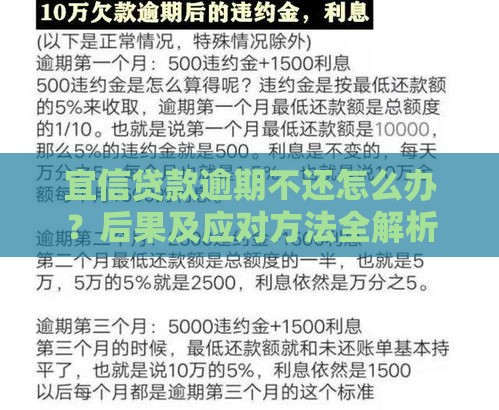 宜信贷款逾期不还怎么办？后果及应对方法全解析