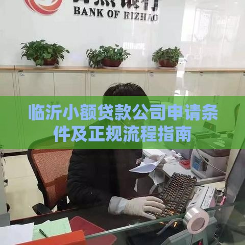 临沂小额贷款公司申请条件及正规流程指南