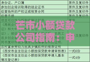 芒市小额贷款公司指南：申请条件、流程与注意事项