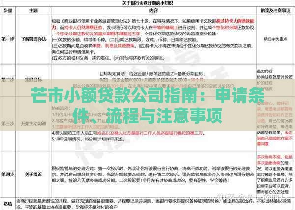 芒市小额贷款公司指南：申请条件、流程与注意事项
