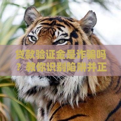 贷款验证金是诈骗吗？教你识别陷阱并正确应对