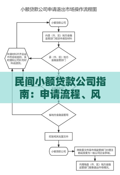 民间小额贷款公司指南：申请流程、风险与避坑技巧