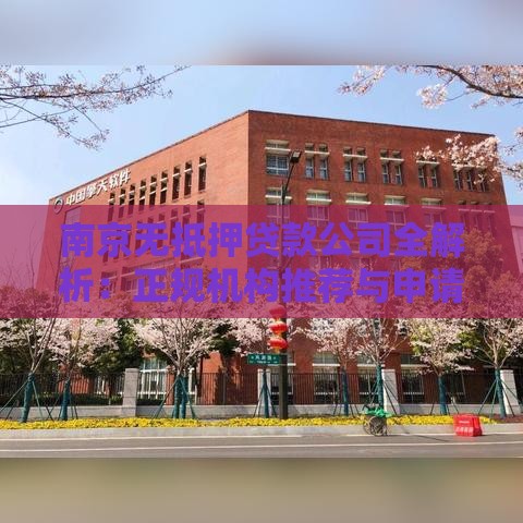 南京无抵押贷款公司全解析：正规机构推荐与申请指南