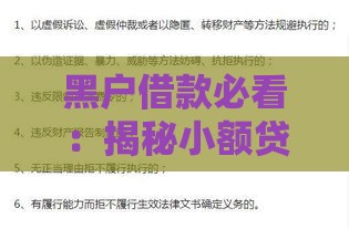黑户借款必看：揭秘小额贷款平台的隐藏漏洞与风险提示