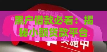 黑户借款必看：揭秘小额贷款平台的隐藏漏洞与风险提示