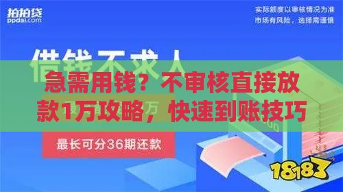 急需用钱？不审核直接放款1万攻略，快速到账技巧解析
