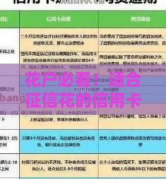 花户必看！适合征信花的信用卡申请指南