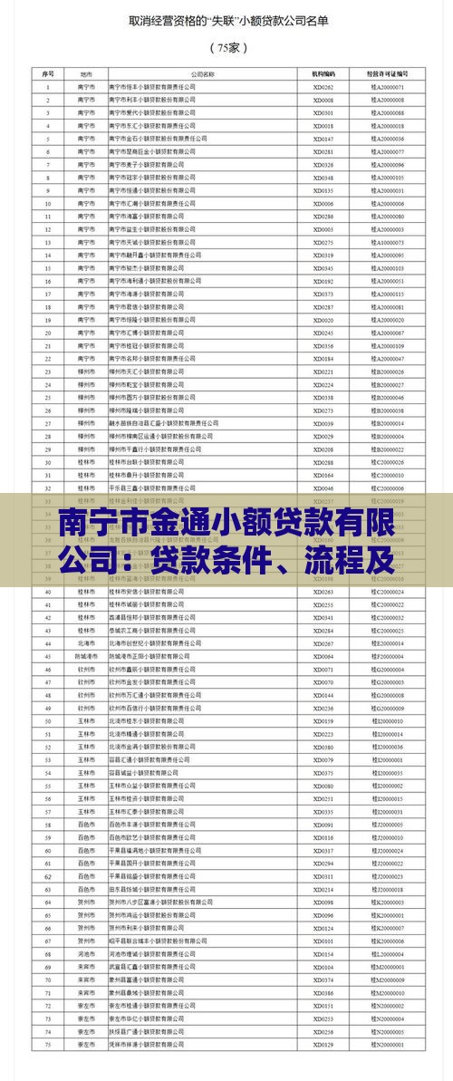南宁市金通小额贷款有限公司：贷款条件、流程及优势详解
