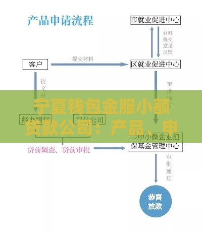 宁夏钱包金服小额贷款公司：产品、申请流程、优势解析