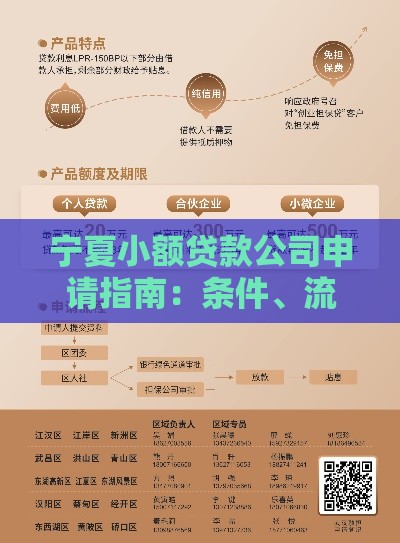 宁夏小额贷款公司申请指南：条件、流程及风险提示