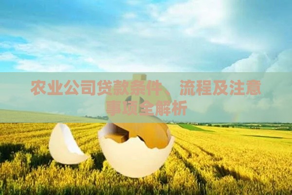 农业公司贷款条件、流程及注意事项全解析