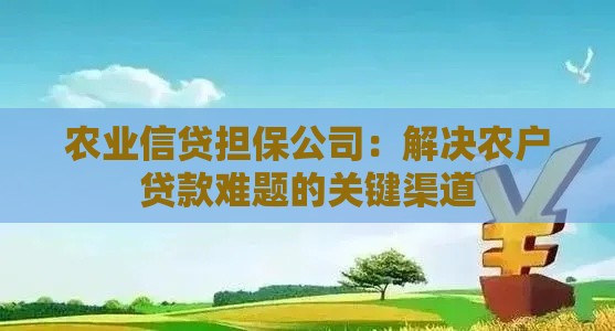 农业信贷担保公司：解决农户贷款难题的关键渠道